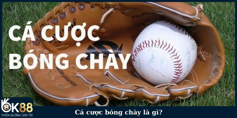 Cá cược bóng chày là gì?