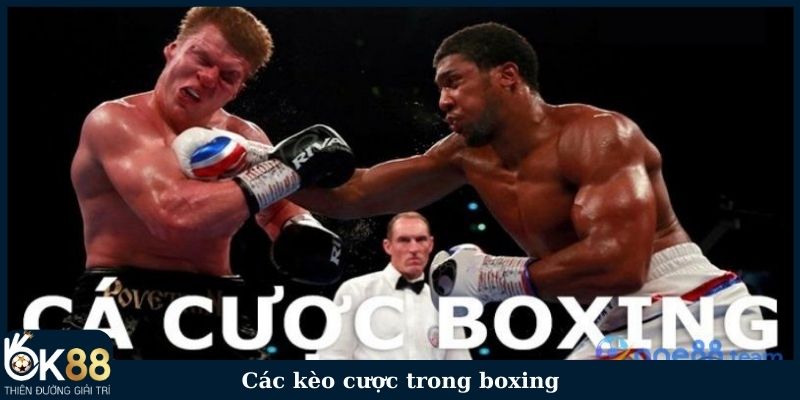 Các kèo cược trong boxing