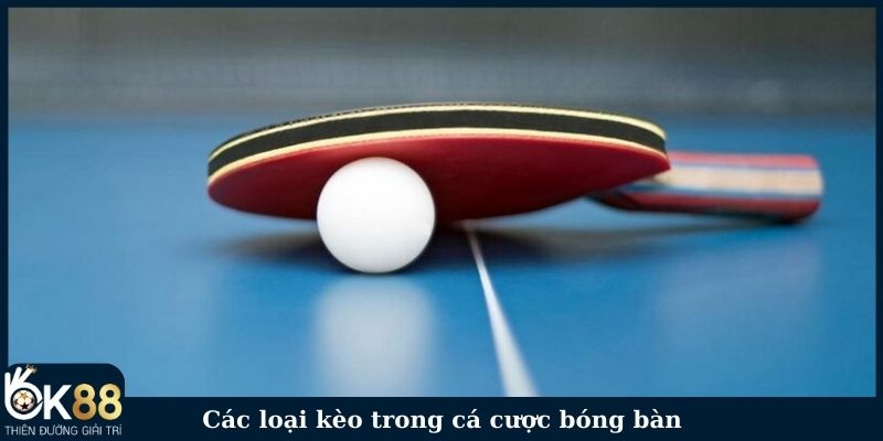 Các loại kèo trong cá cược bóng bàn