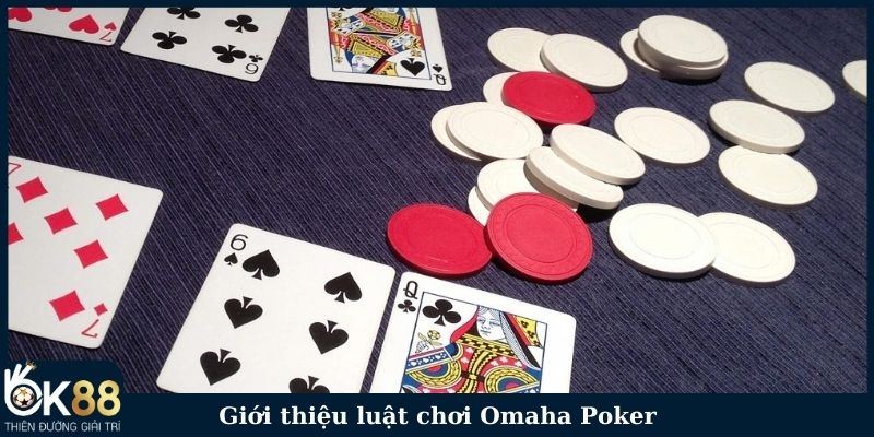 Giới thiệu luật chơi Omaha Poker