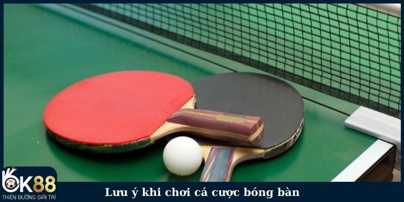 Lưu ý khi chơi cá cược bóng bàn