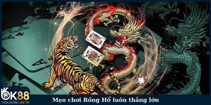 5 mẹo chơi  Dragon Tiger luôn thắng lớn