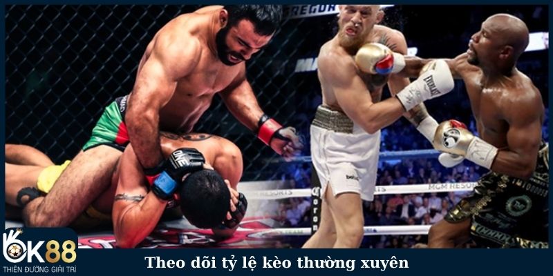 Theo dõi tỷ lệ kèo cá cược boxing thường xuyên