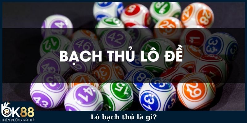 Lô bạch thủ là gì?