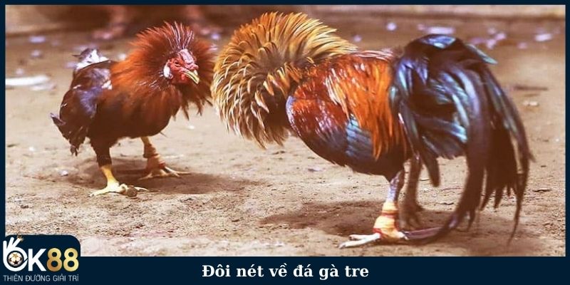 Đôi nét về đá gà tre