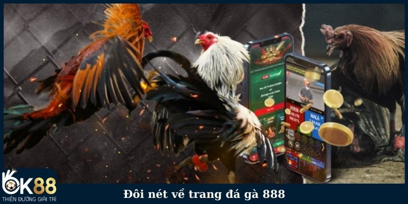 Đôi nét về trang đá gà 888