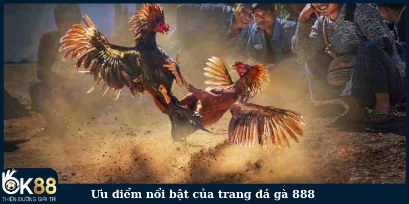 Ưu điểm nổi bật của trang đá gà 888