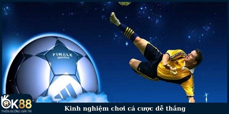 Kinh nghiệm chơi cá cược dễ thắng