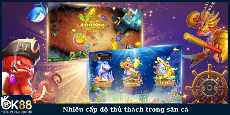 Nhiều cấp độ thử thách trong săn cá