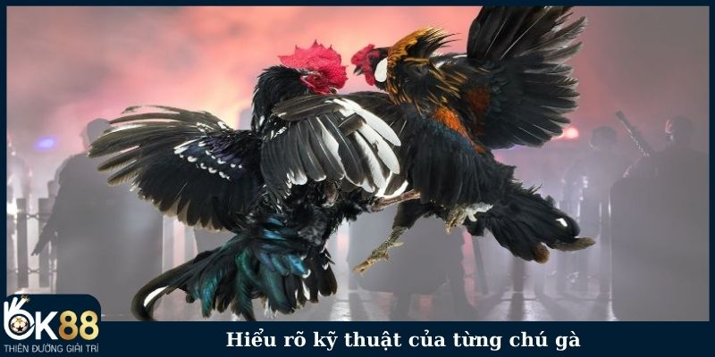 Hiểu rõ kỹ thuật của từng chú gà