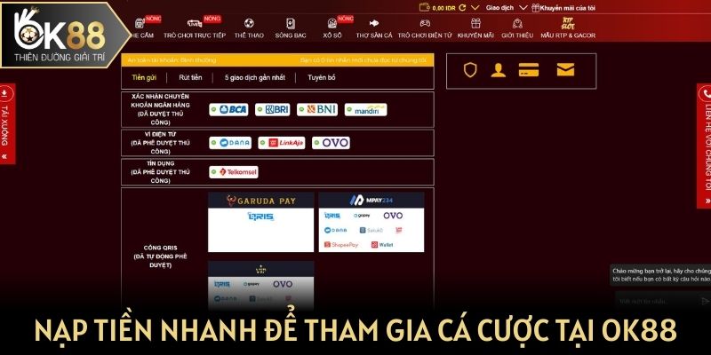 Nạp tiền nhanh để tham gia cá cược tại OK 88